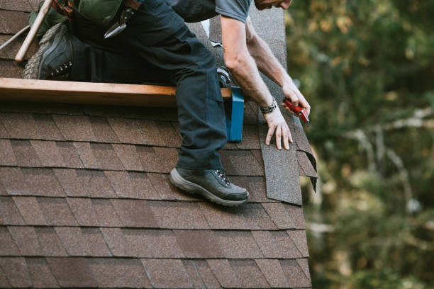 Best Roof Gutter Cleaning  in Catahou, LA